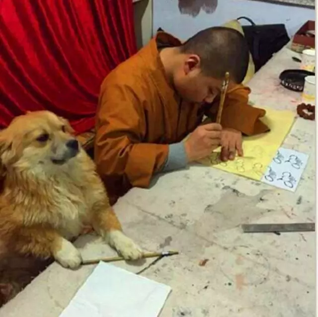 僧人救助撿到的瘸腿流浪狗,一起相依為命生活,還教導狗狗寫字