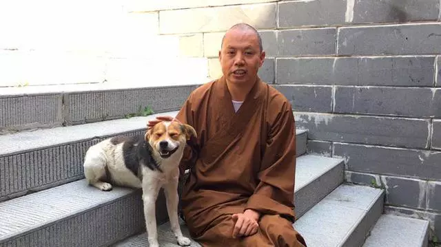 僧人救助撿到的瘸腿流浪狗,一起相依為命生活,還教導狗狗寫字