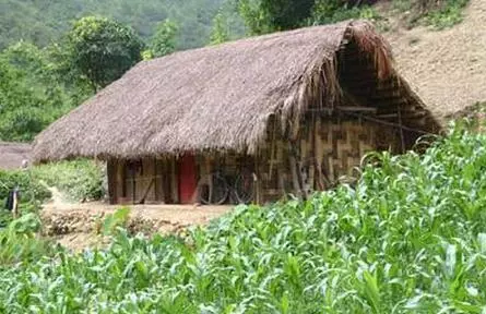 農村壯漢上山採藥救了一條小蛇,幾年後再遇見卻纏著不讓他下山!