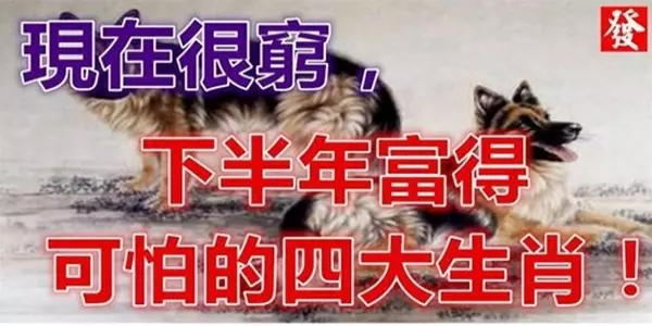 現在很窮,下半年「富」的可怕的「4大生肖」
