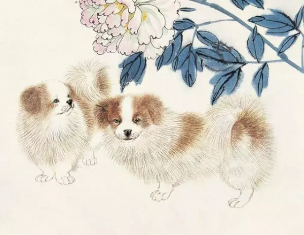 人美心善的4個生肖,命裡不缺錢也不缺愛,最有福報