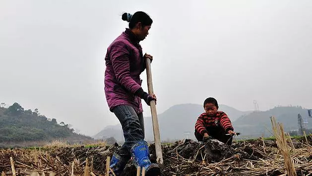 母親去世我遭繼父暴打,一怒之下離開家門,多年後衣錦還鄉卻遭全村人唾棄!