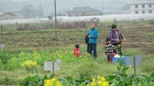 母親去世我遭繼父暴打,一怒之下離開家門,多年後衣錦還鄉卻遭全村人唾棄!