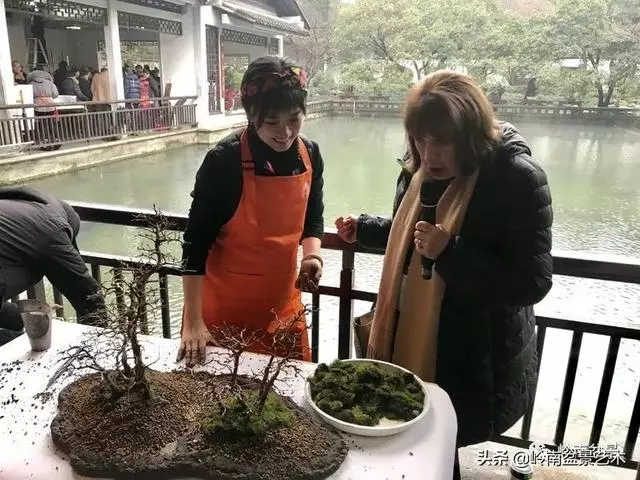 甜妹子史詩:盆景讓我的人生多了一分快樂和感動!