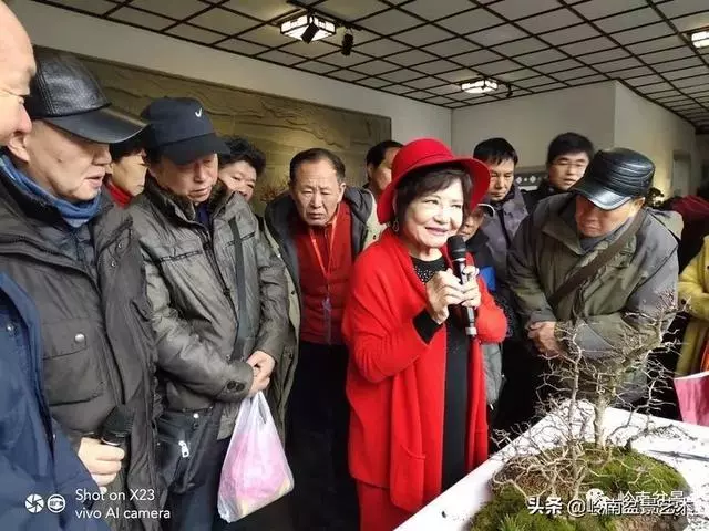 甜妹子史詩:盆景讓我的人生多了一分快樂和感動!