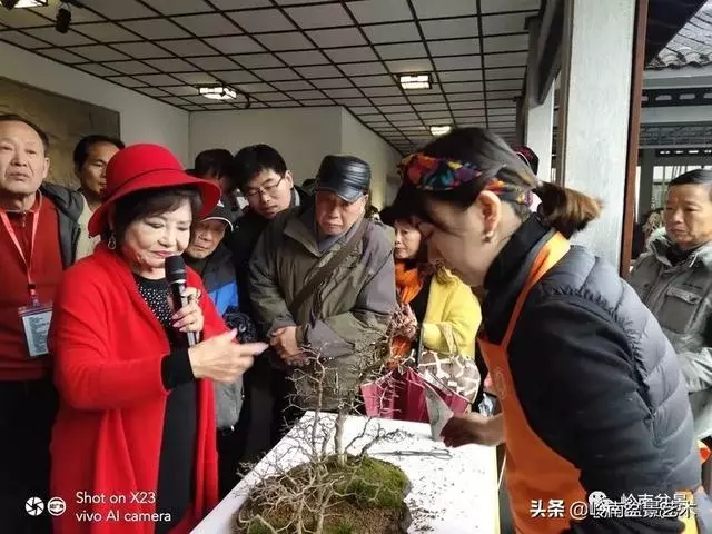 甜妹子史詩:盆景讓我的人生多了一分快樂和感動!