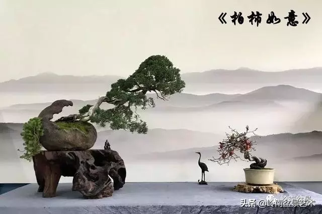 甜妹子史詩:盆景讓我的人生多了一分快樂和感動!