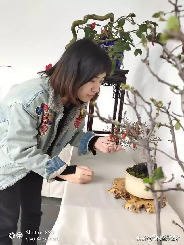 甜妹子史詩:盆景讓我的人生多了一分快樂和感動!
