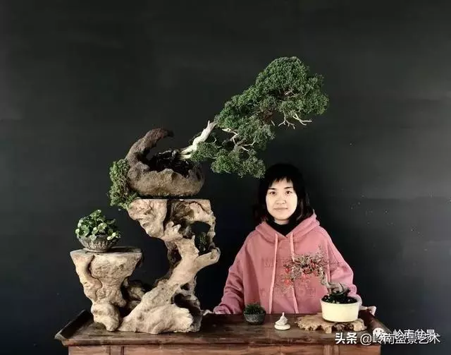 甜妹子史詩:盆景讓我的人生多了一分快樂和感動!
