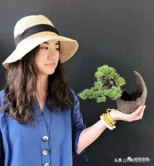 甜妹子史詩:盆景讓我的人生多了一分快樂和感動!