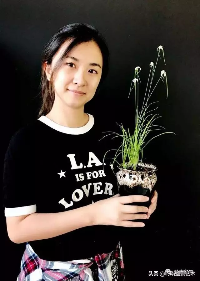 甜妹子史詩:盆景讓我的人生多了一分快樂和感動!