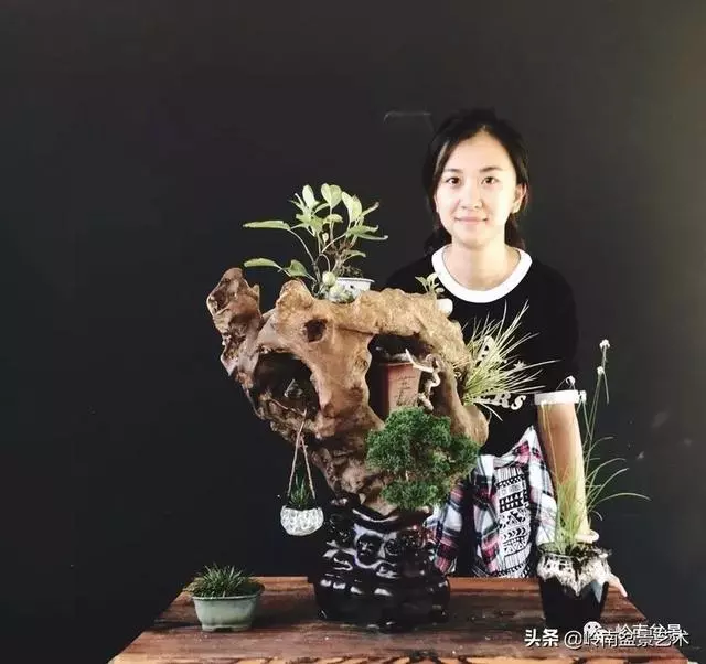 甜妹子史詩:盆景讓我的人生多了一分快樂和感動!