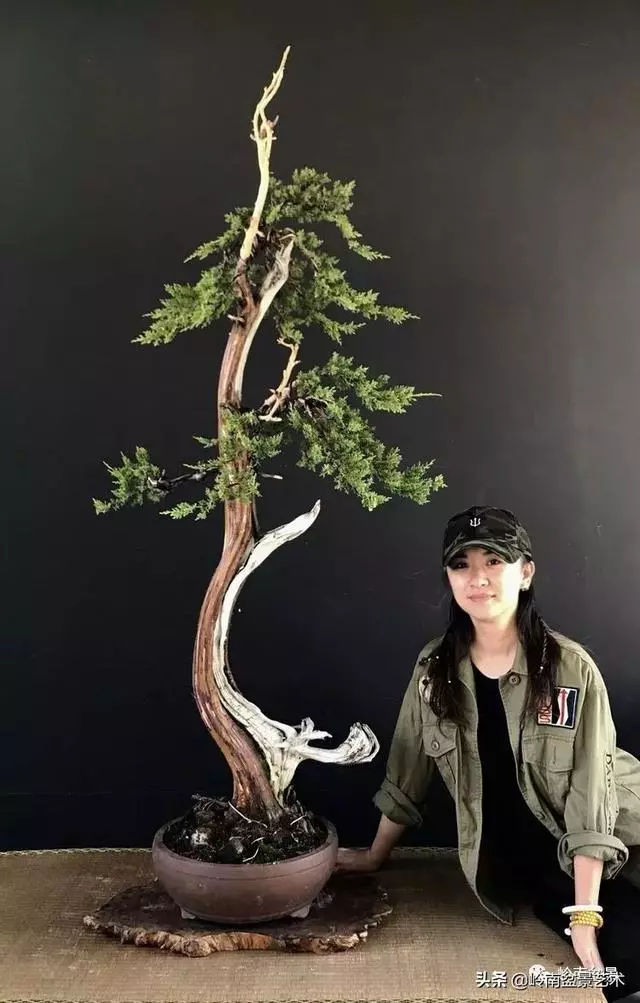 甜妹子史詩:盆景讓我的人生多了一分快樂和感動!