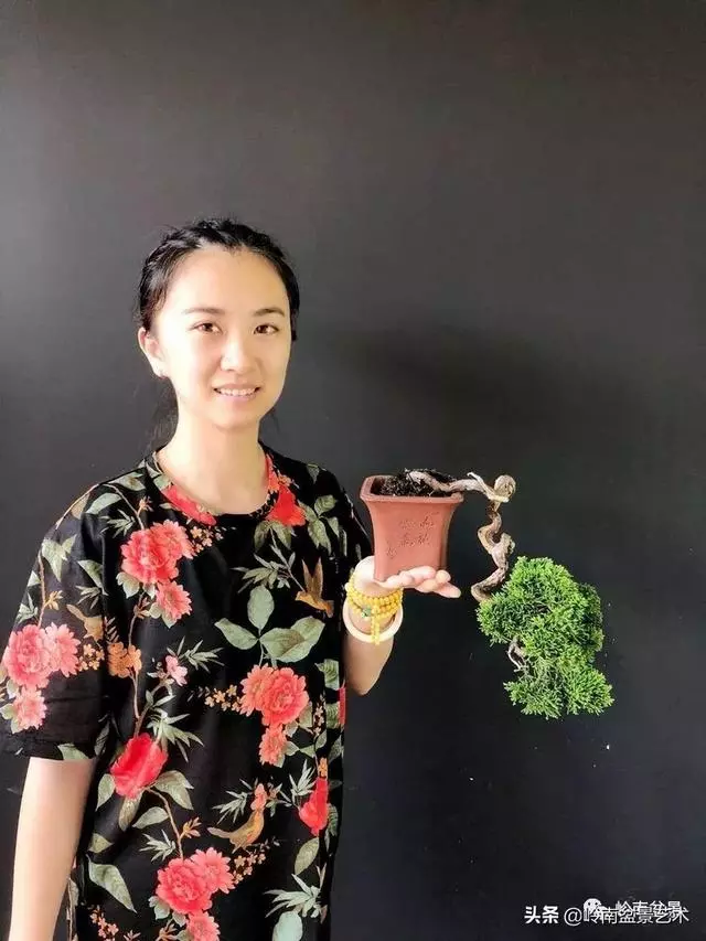 甜妹子史詩:盆景讓我的人生多了一分快樂和感動!