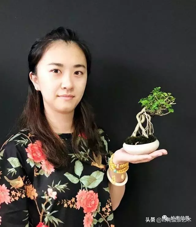 甜妹子史詩:盆景讓我的人生多了一分快樂和感動!
