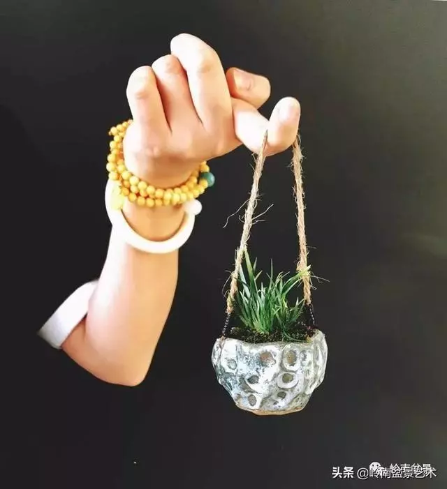 甜妹子史詩:盆景讓我的人生多了一分快樂和感動!