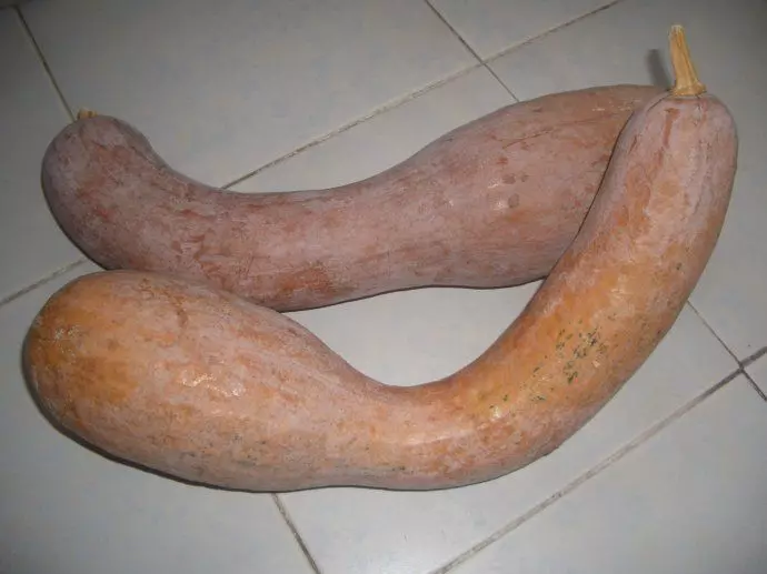 她懷孕,鄉下婆婆送個南瓜,嫌髒丟給保姆,保姆切開後卻悄悄辭職