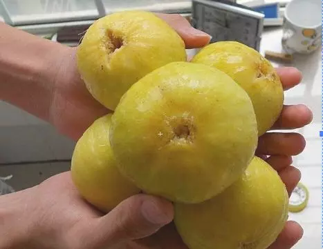 婆婆得知俺懷孕,買了一袋「爛水果」,以為她貪便宜,結果?