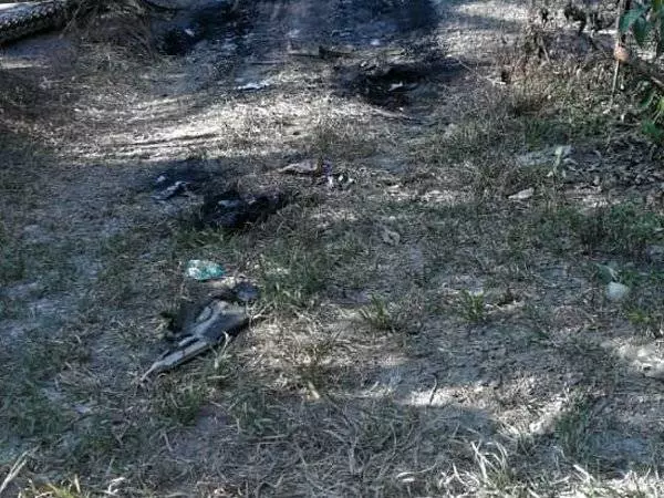《單親媽媽為了賺錢》17歲女兒曾多次勸阻母親不要接這單載客服務,結果媽媽離奇失蹤