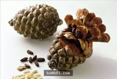 爸媽說現在的人吃水果都不知道它是怎樣長出來的,結果他們出的這16題還真的考倒我了