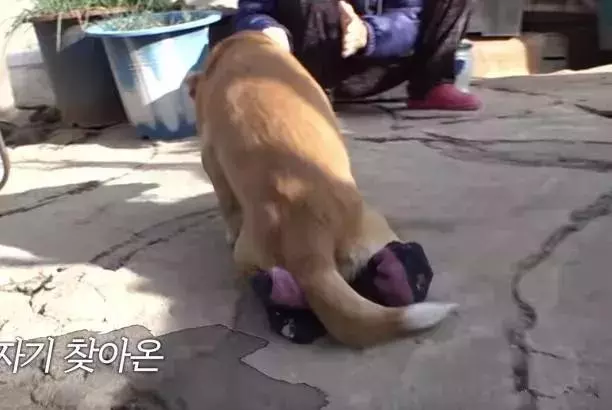 愛是一生的事,我不嫌棄你,我養你一輩子!
