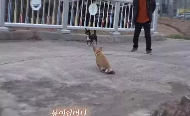 愛是一生的事,我不嫌棄你,我養你一輩子!