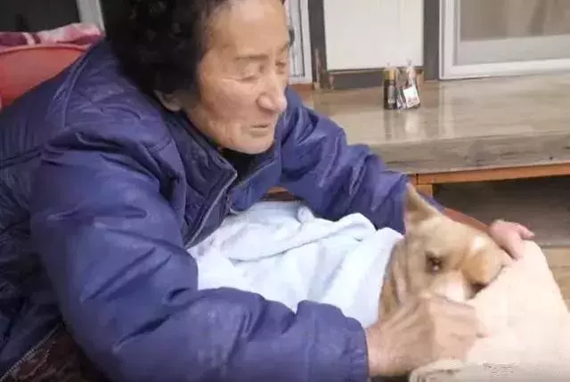 愛是一生的事,我不嫌棄你,我養你一輩子!