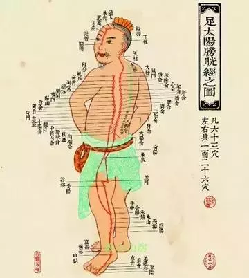 為什麼疏通膀胱經就能治許多病?太神奇了!
