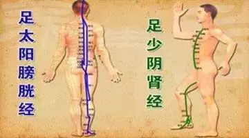 為什麼疏通膀胱經就能治許多病?太神奇了!