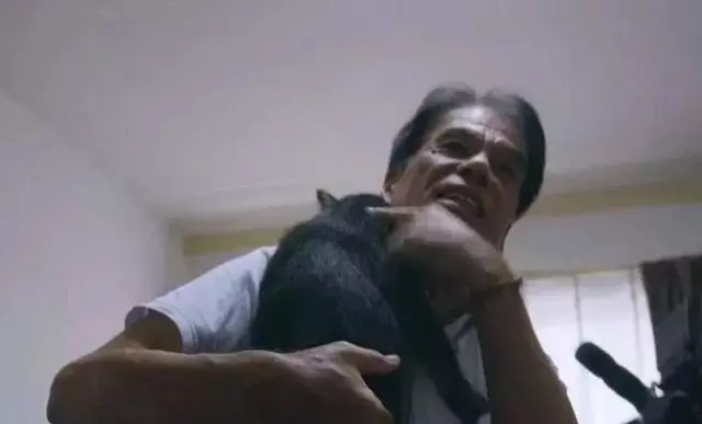 貓咪並非薄情寡義之徒,能在兩年後認出恩人,全靠這四種辨認方式