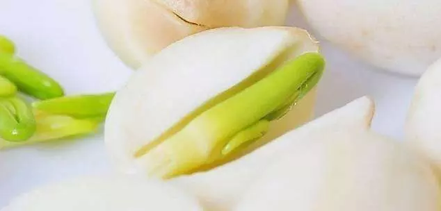 它是排毒「總開關」,每天拍這3處,排出血毒、腎毒、肝臟毒,不吃藥也能排得一乾二淨!