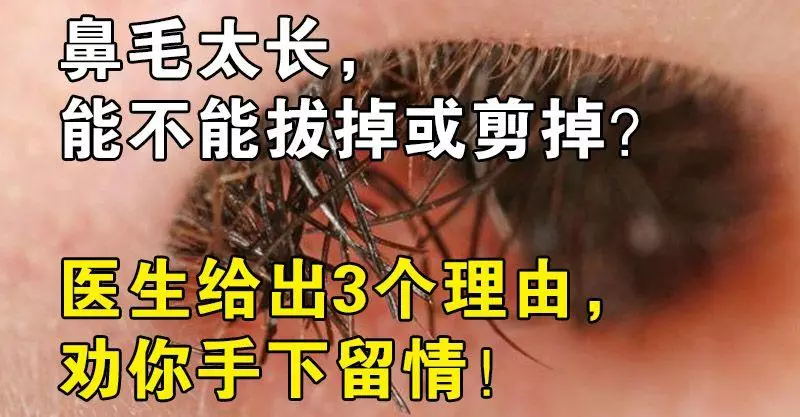 鼻毛太長,能不能拔掉或剪掉?醫生給出3個理由,勸你手下留情!