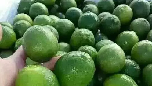 3個降血糖的古方:爸爸喝了這碗,血糖穩穩降下來,為有糖尿病的人收好