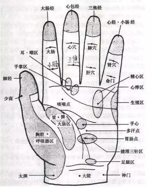 每天按摩小拇指50次,堅持一段時間,腰不疼、腿不酸了,連頭髮也烏黑了,不用去染髮
