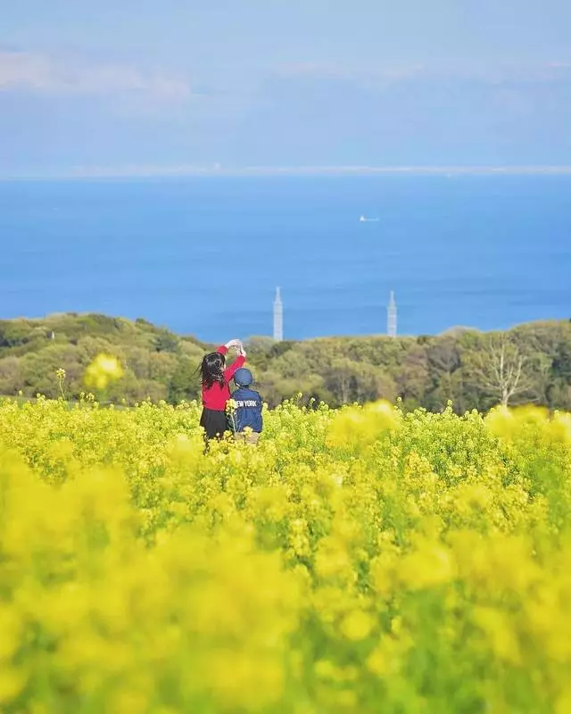 日本爸爸「宮崎駿動漫式」曬娃火遍ins,只拍背影就讓人愛上日本