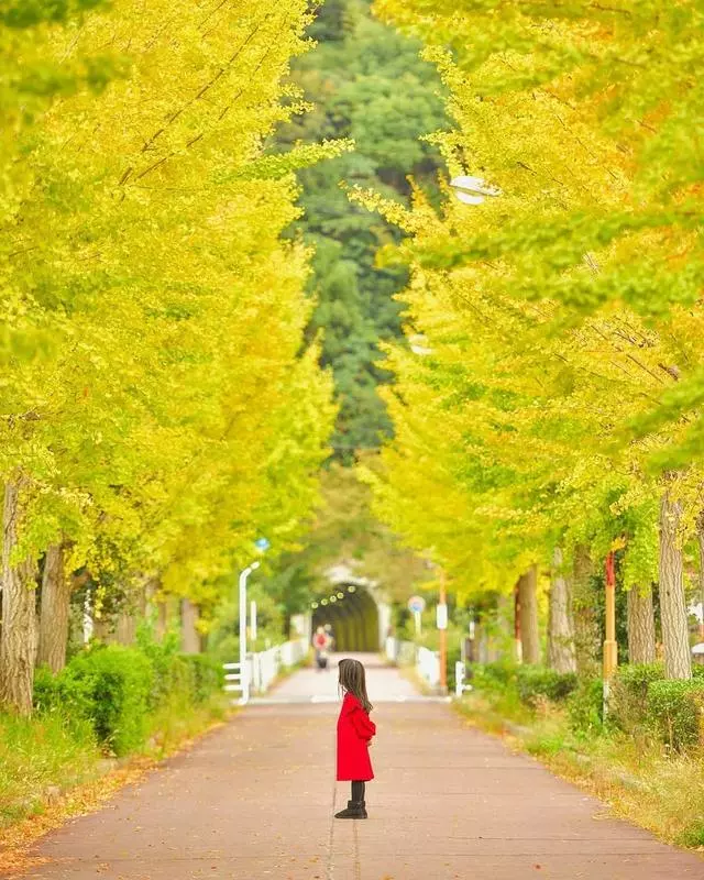 日本爸爸「宮崎駿動漫式」曬娃火遍ins,只拍背影就讓人愛上日本