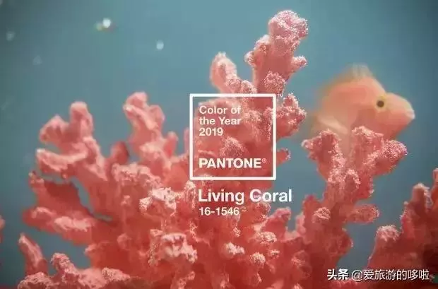 少女心爆棚!全球10個粉色景點,你會種草哪一個?