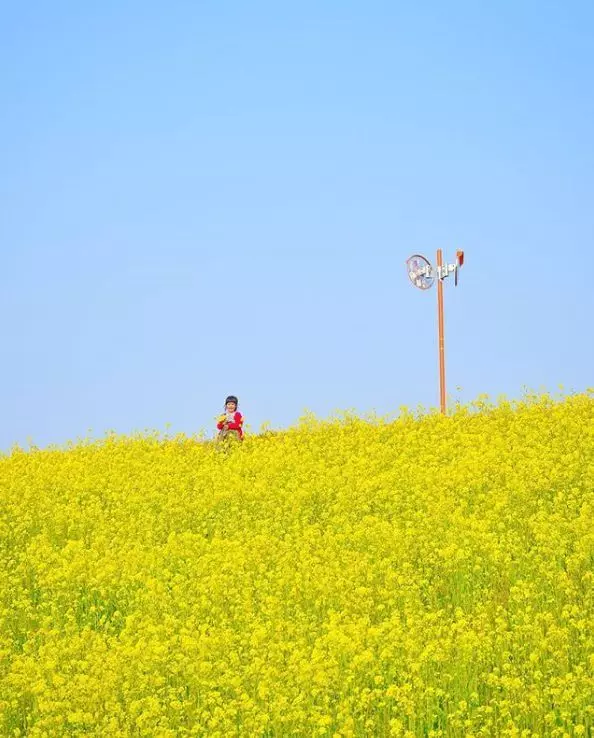 老爸偷拍女兒3年,把女兒拍成宮崎駿動畫,每天3萬人催他曬女兒