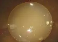 那麼好吃的玉米餅是這樣做成的,訣竅原來那麼簡單