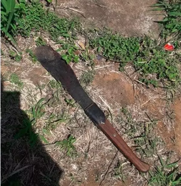 膽敢奸吾孕妻! 強姦犯剁成肉碎