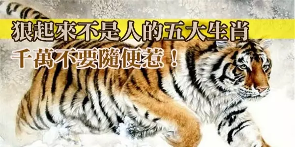 狠起來不是人的五大生肖!千萬不要隨便惹!