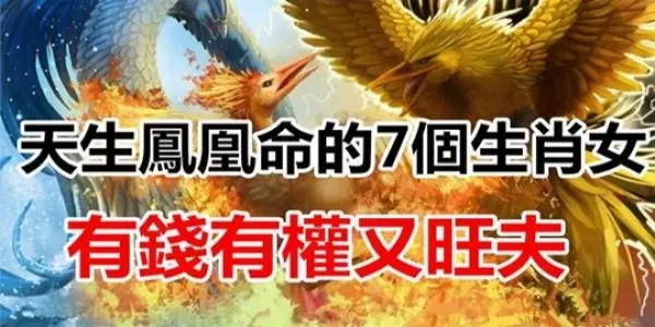 天生「鳳凰命」的7大生肖女!