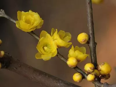 屬這3個生肖的孩子,前世狀元,今生貴人,旺爹旺媽