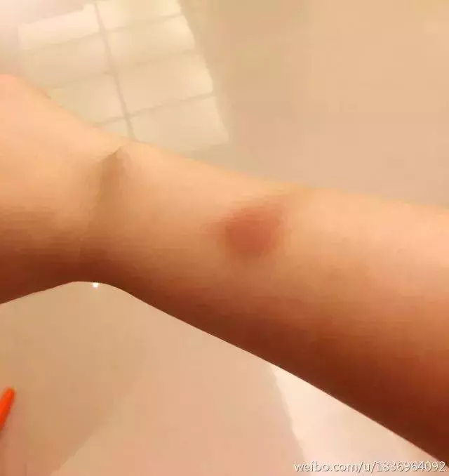 利菁的傳奇人生真牛逼。20歲變性,51歲嫁小14歲老公,12年換7張臉