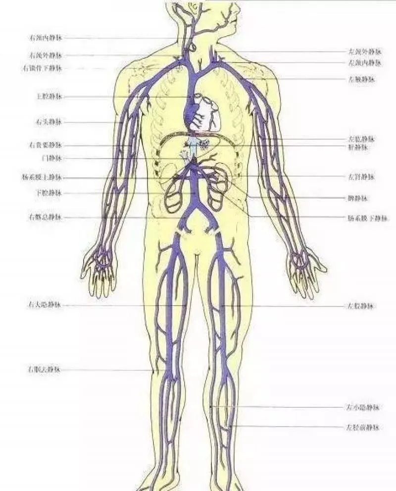 這個筋結對身體好,筋結散,百病消