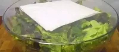 比冰箱還厲害的保鮮方法