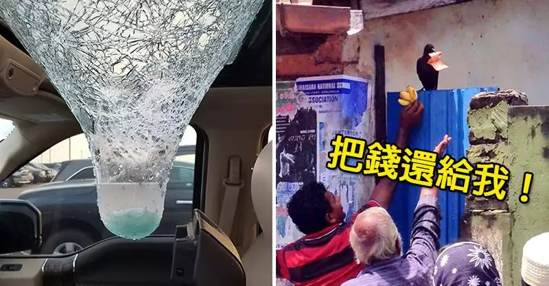25個「被上帝放棄」的超悲劇人類 一覺醒來「整個馬桶」被前男友搬走…