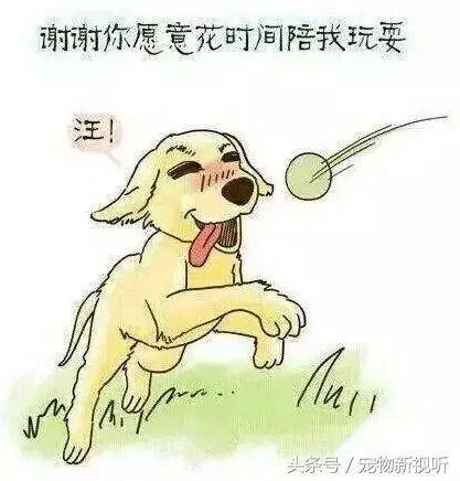 原來狗狗的內心世界是這樣的,請每位主人認真閱讀