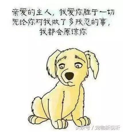 原來狗狗的內心世界是這樣的,請每位主人認真閱讀