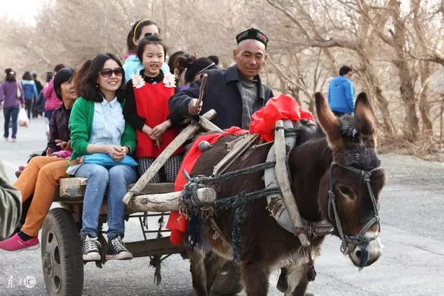 四個兒子都沒活過50歲,算命先生讓挖開祖墳 !看到裡麵老母親嚇癱